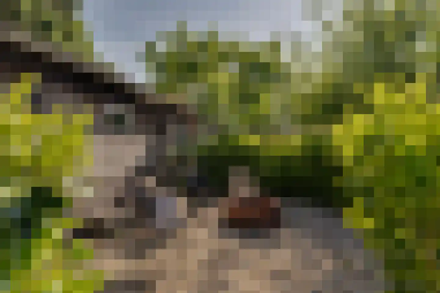 Burgemeester van Engelenweg 29 IJsselmuiden thumbnail 43