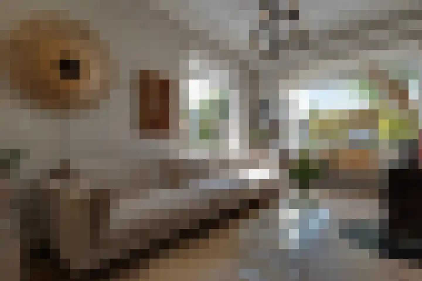 Burgemeester van Engelenweg 29 IJsselmuiden thumbnail 5