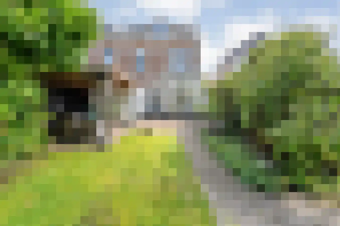 Burgemeester van Engelenweg 64 IJsselmuiden thumbnail 51