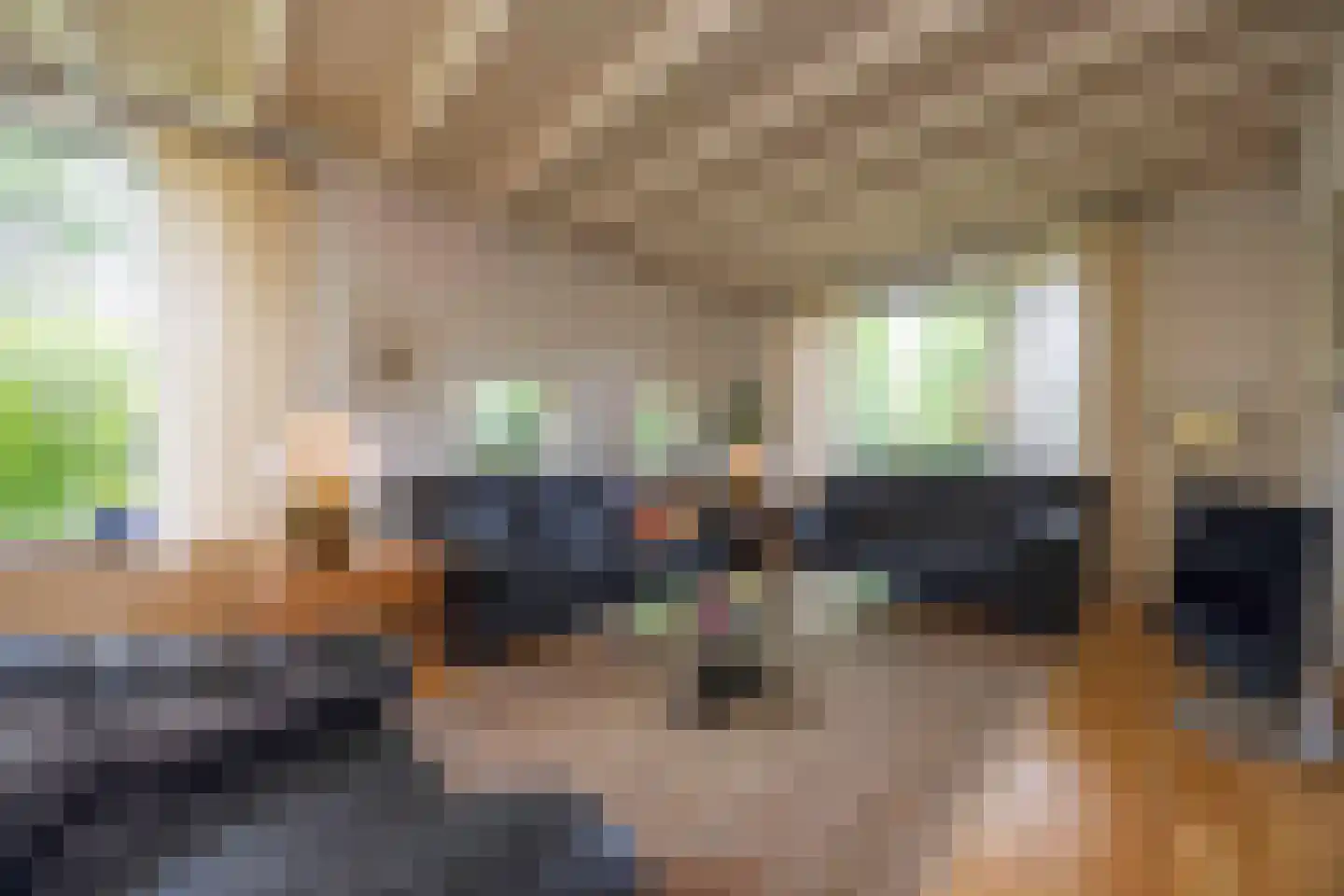 Burgemeester van Erplaan 7 Kaatsheuvel thumbnail 4