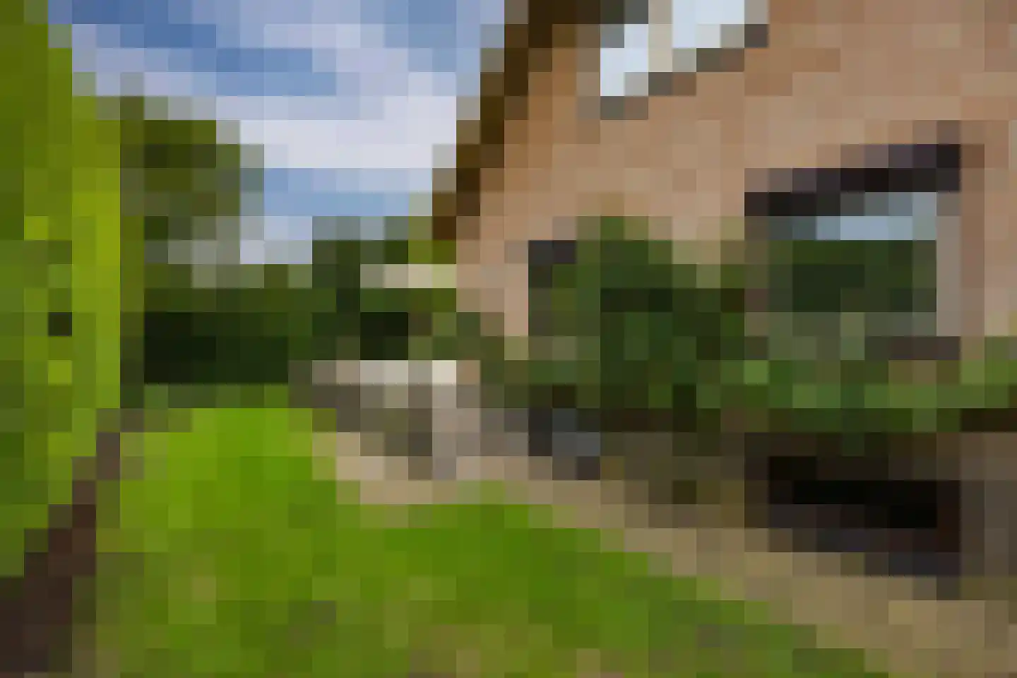 Burgemeester van Erplaan 7 Kaatsheuvel thumbnail 44