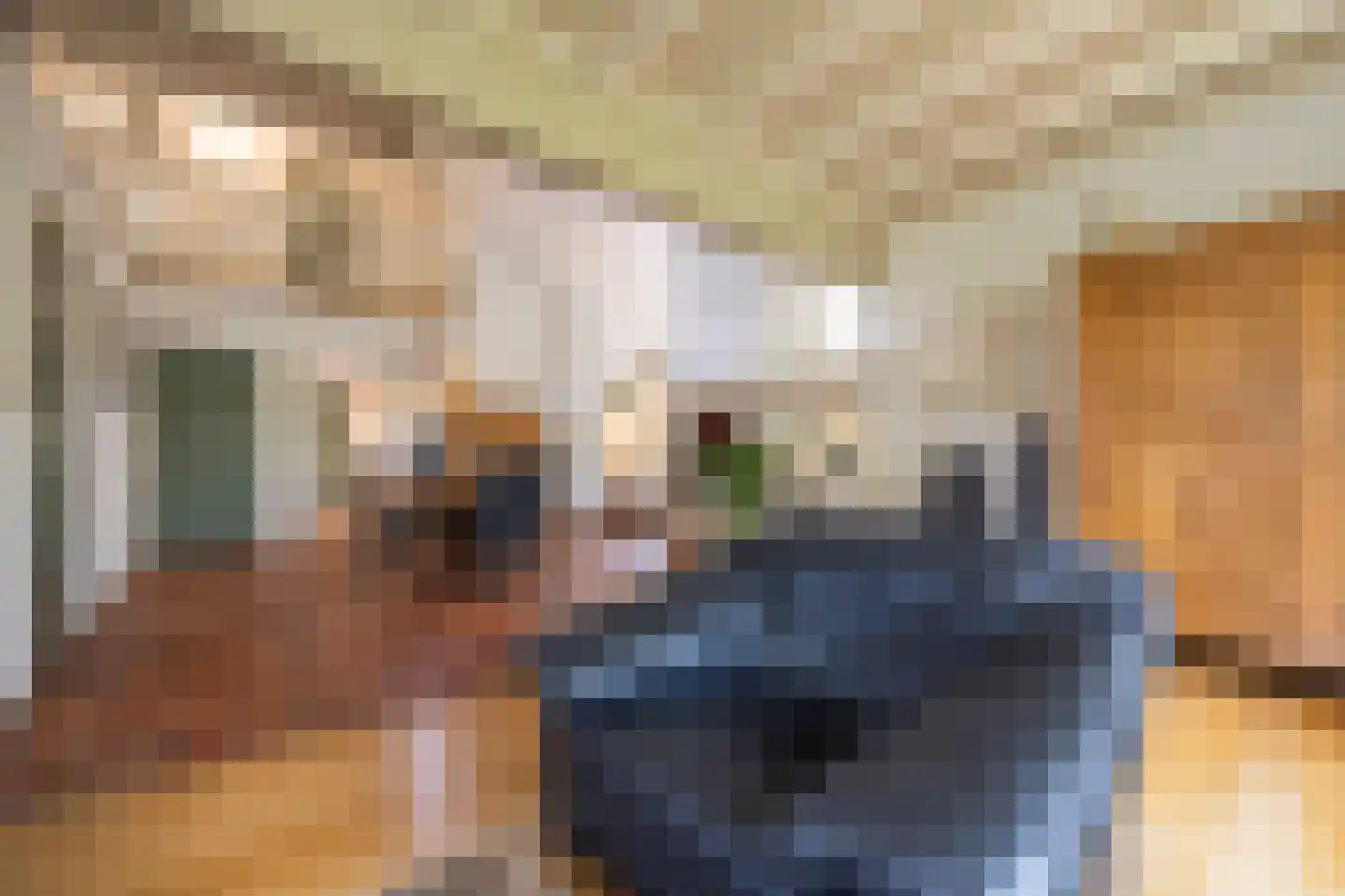 Burgemeester van Erplaan 7 Kaatsheuvel thumbnail 7