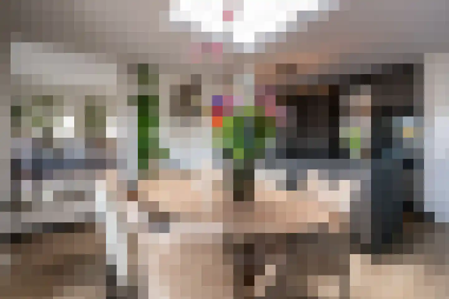 Burgemeester van Erpstraat 18 D Berghem thumbnail 12