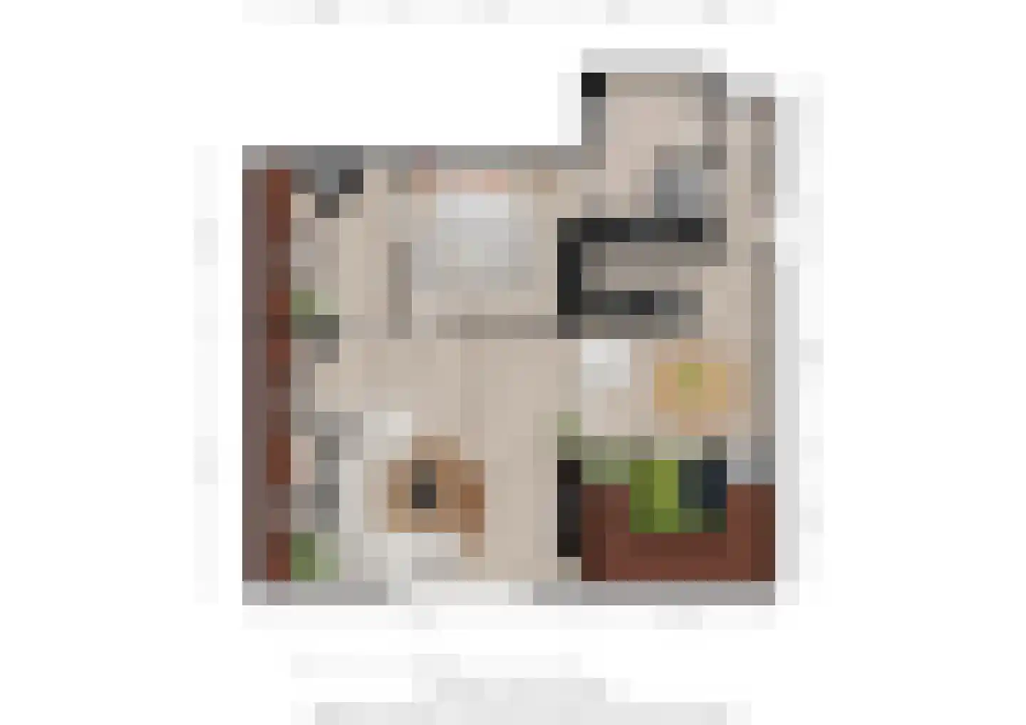 Burgemeester van Erpstraat 18 D Berghem thumbnail 23