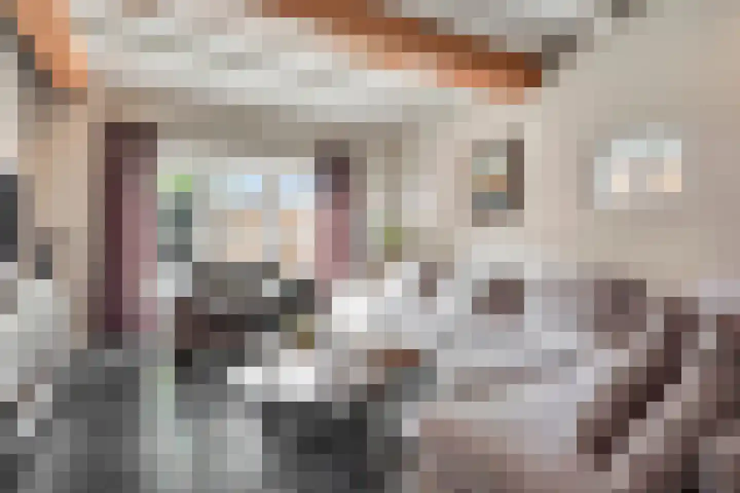 Burgemeester van Erpstraat 60 Berghem thumbnail 21