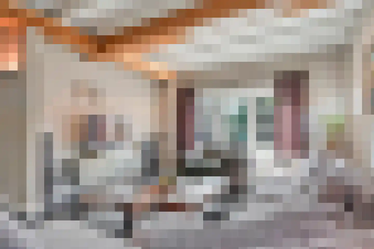 Burgemeester van Erpstraat 60 Berghem thumbnail 22