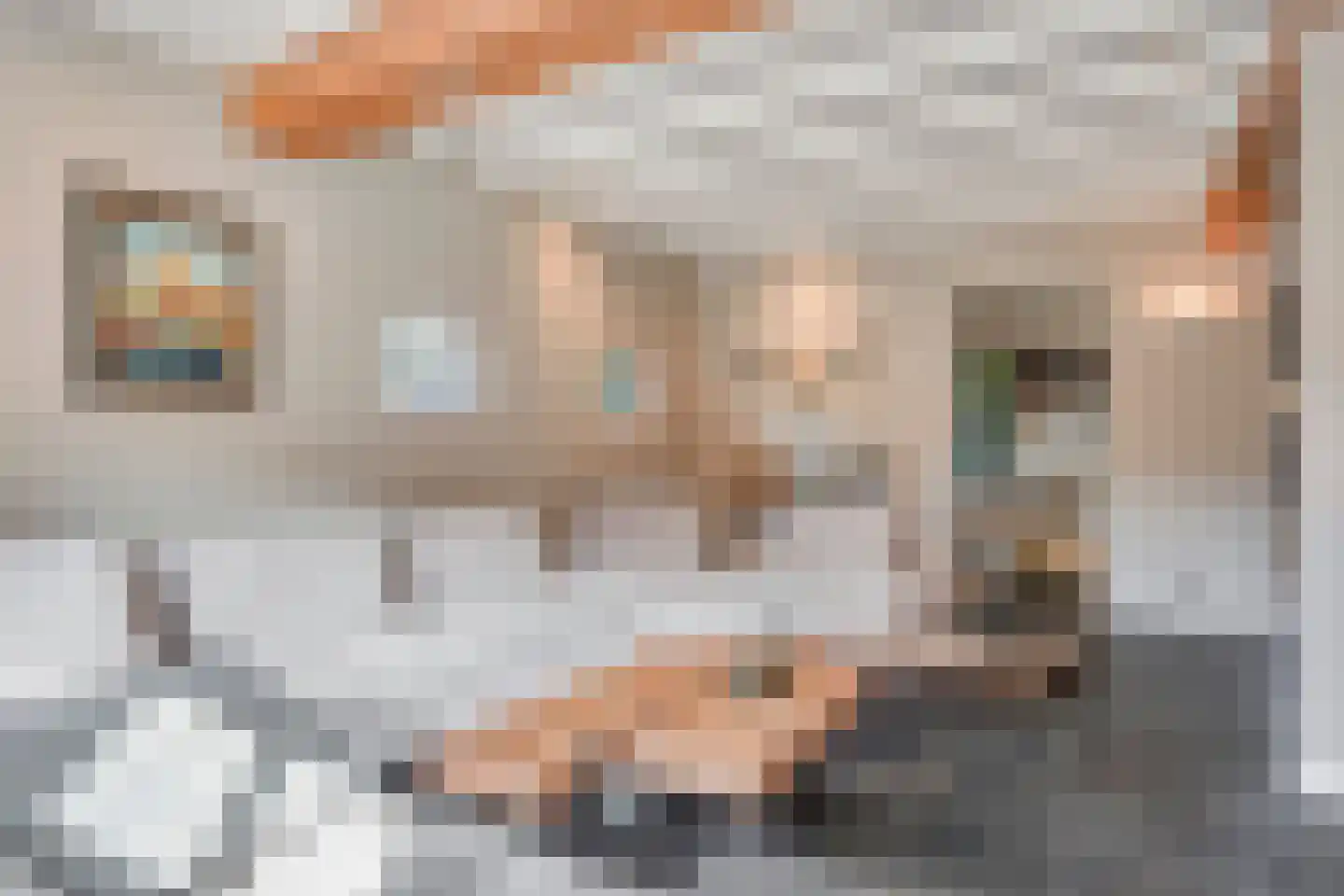 Burgemeester van Erpstraat 60 Berghem thumbnail 23