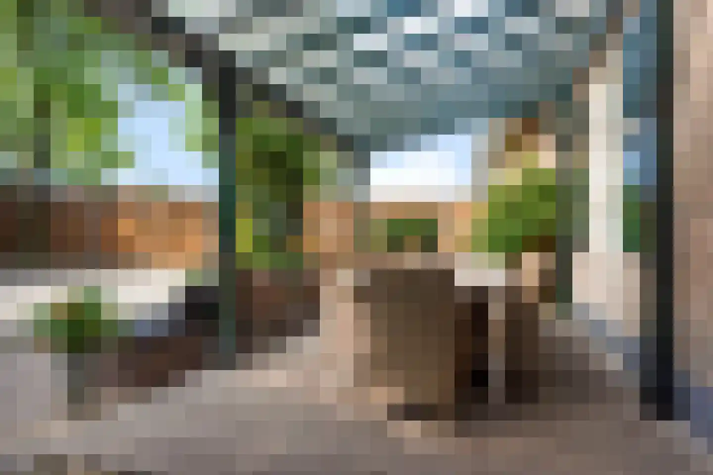 Burgemeester van Erpstraat 60 Berghem thumbnail 78
