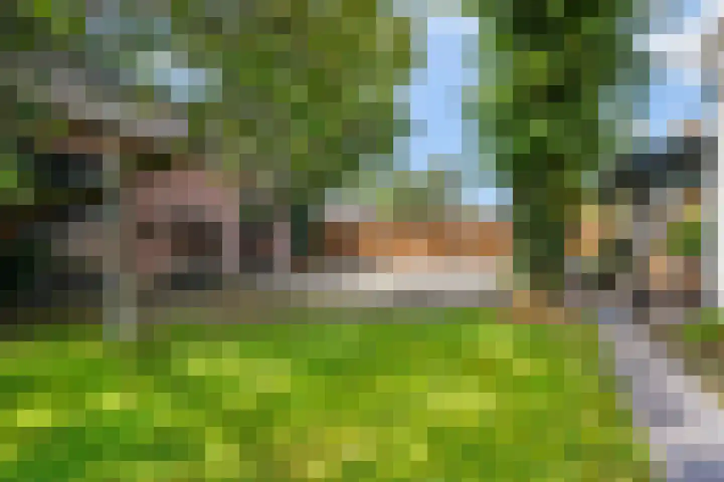 Burgemeester van Erpstraat 60 Berghem thumbnail 79