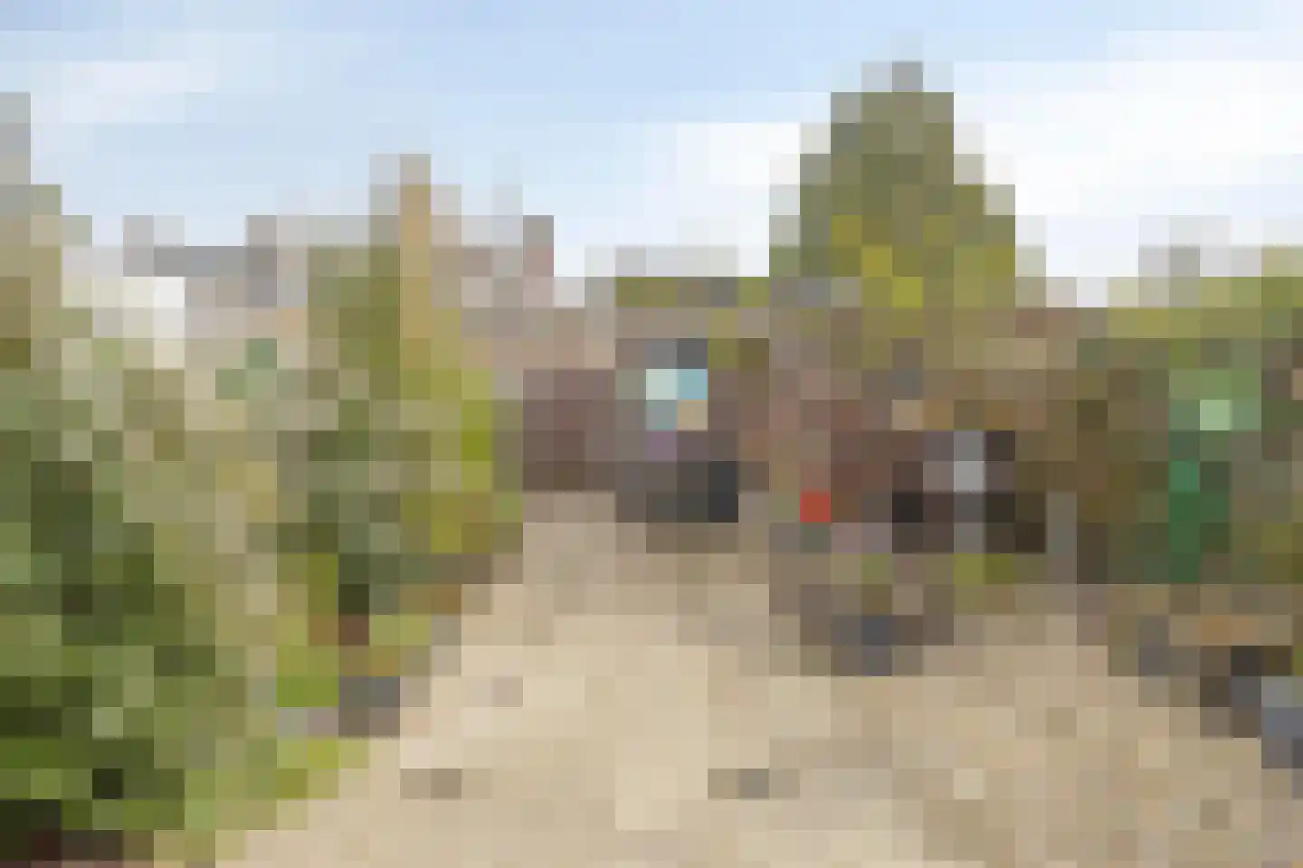 Burgemeester van Esstraat 196 Pernis Rotterdam thumbnail 35