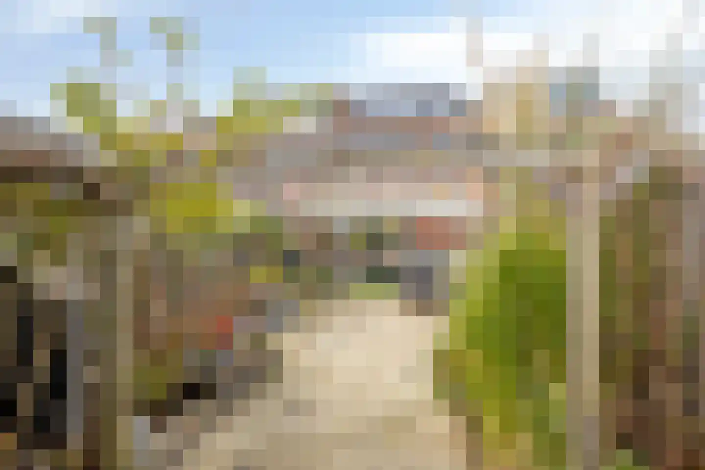 Burgemeester van Esstraat 196 Pernis Rotterdam thumbnail 38
