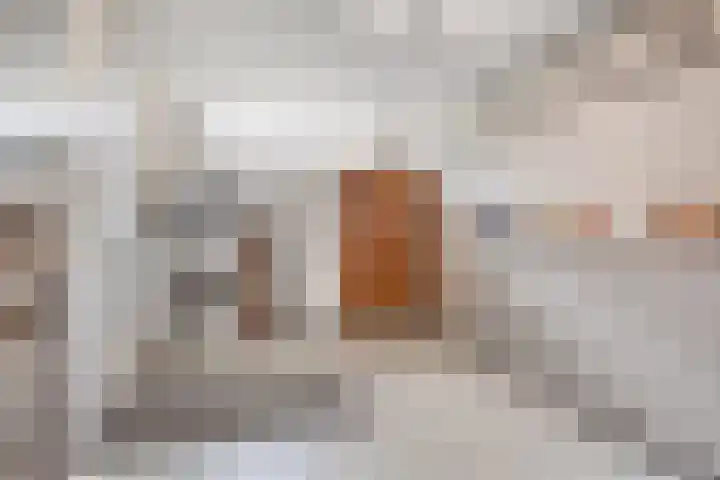 Burgemeester van Everdingenstraat 22 Beusichem thumbnail 17