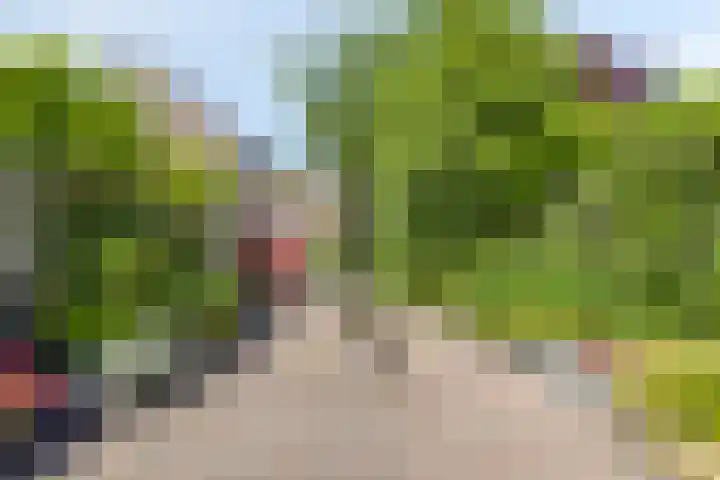 Burgemeester van Everdingenstraat 24 Beusichem thumbnail 26