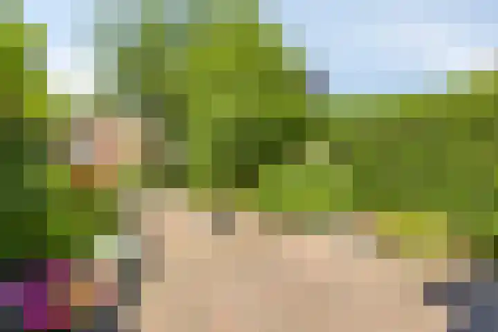 Burgemeester van Everdingenstraat 24 Beusichem thumbnail 4