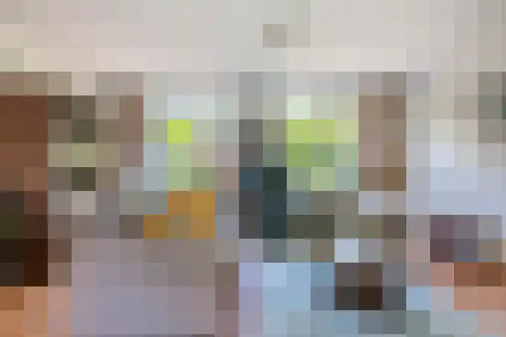 Burgemeester van Everdingenstraat 24 Beusichem thumbnail 7