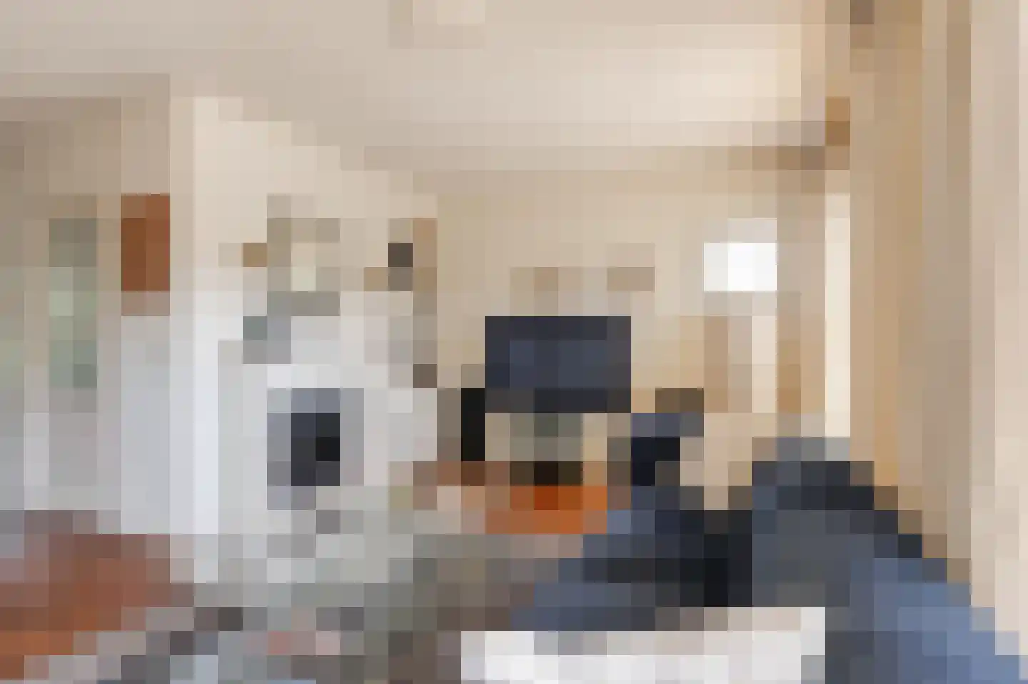 Burgemeester van Everdingenstraat 4 Beusichem thumbnail 10