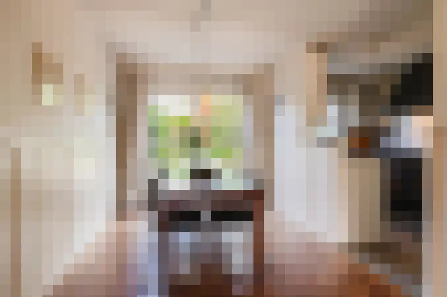 Burgemeester van Everdingenstraat 4 Beusichem thumbnail 12
