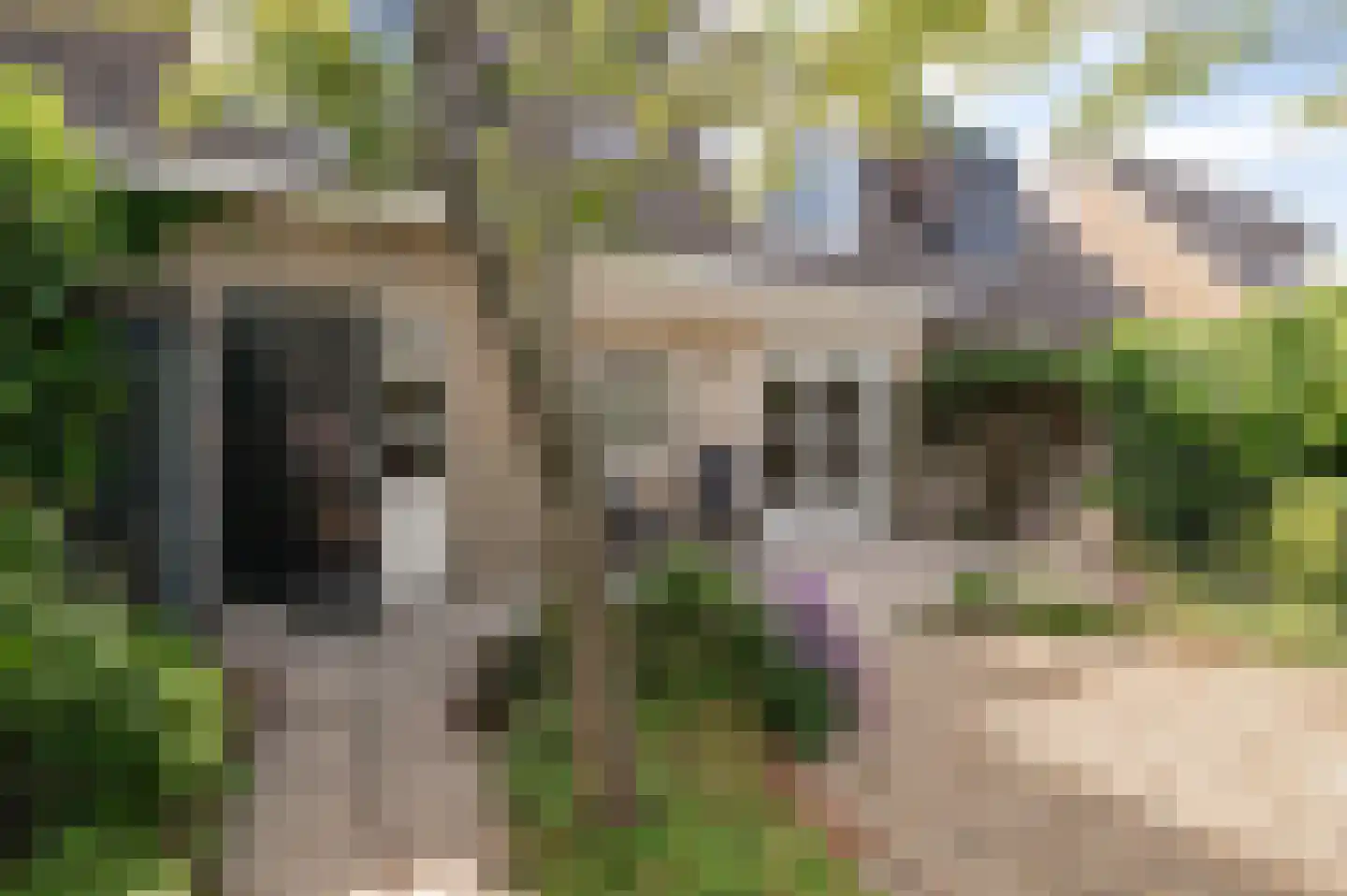 Burgemeester van Everdingenstraat 4 Beusichem thumbnail 5