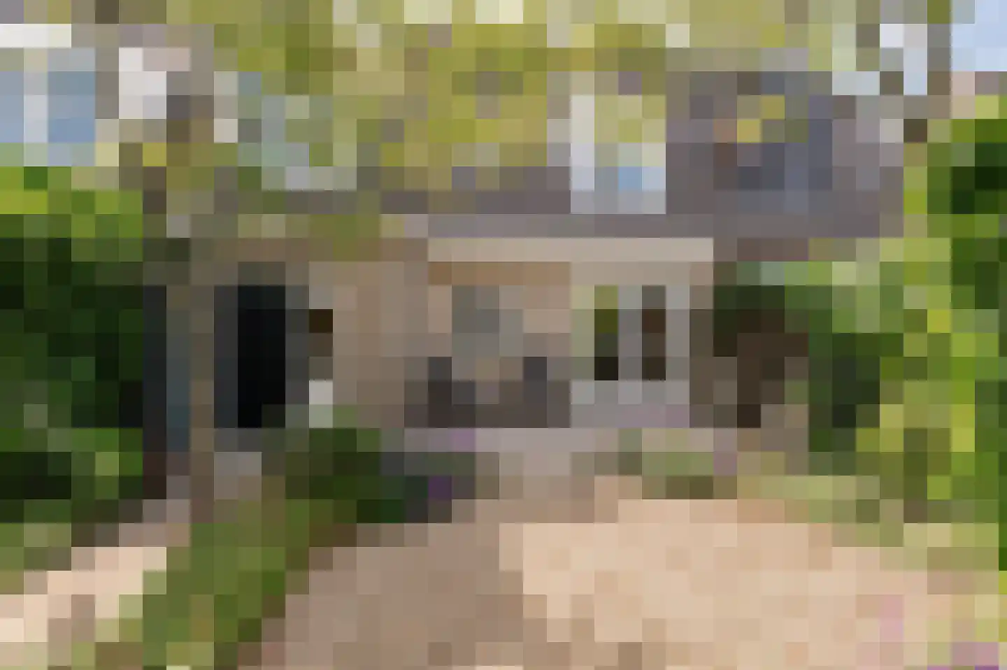 Burgemeester van Everdingenstraat 4 Beusichem thumbnail 6