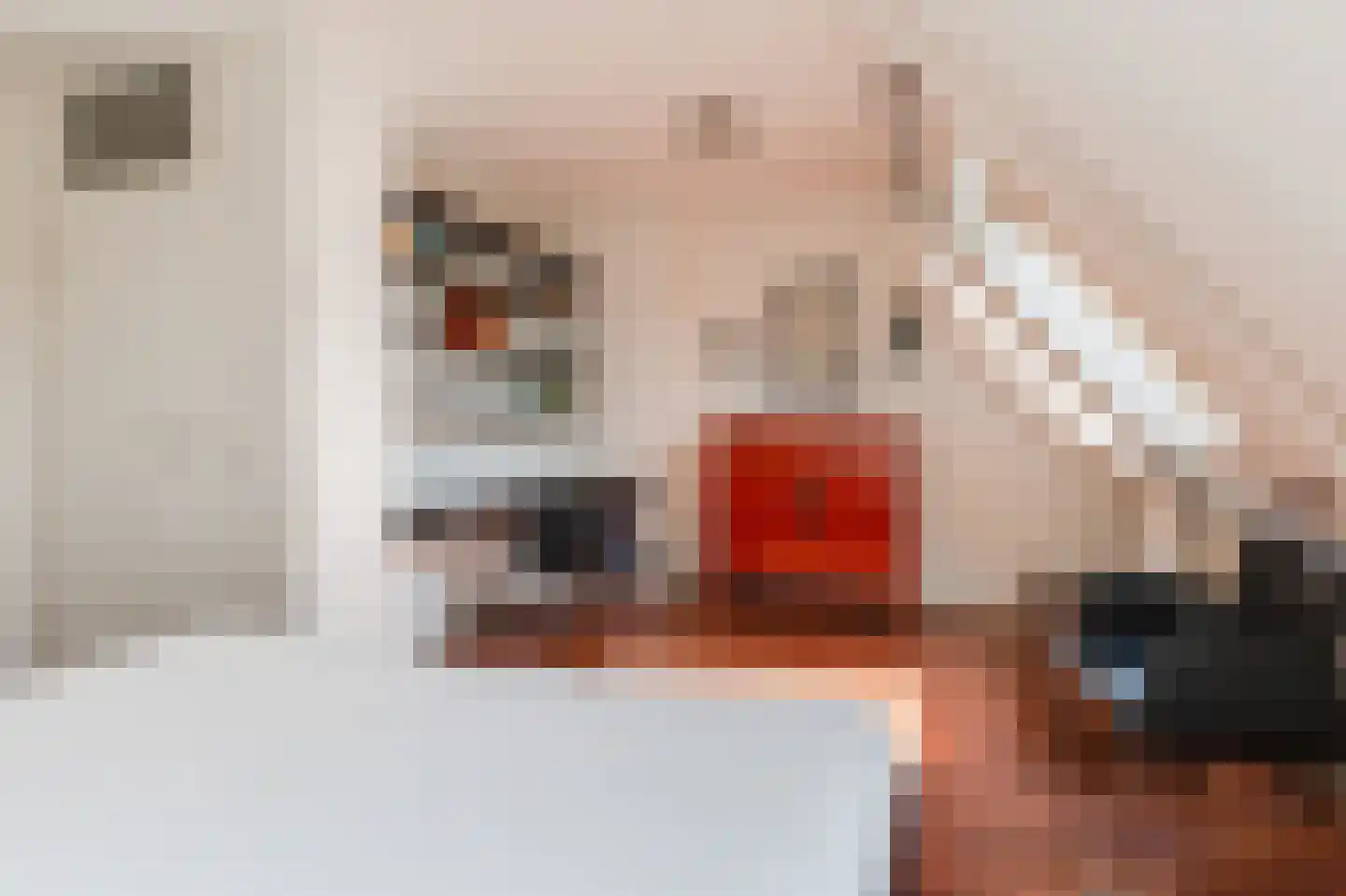 Burgemeester van Everdingenstraat 4 Beusichem thumbnail 33