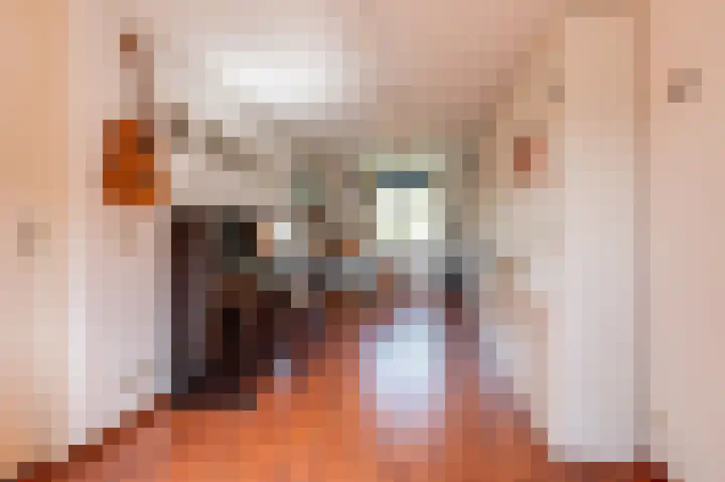 Burgemeester van Everdingenstraat 4 Beusichem thumbnail 38