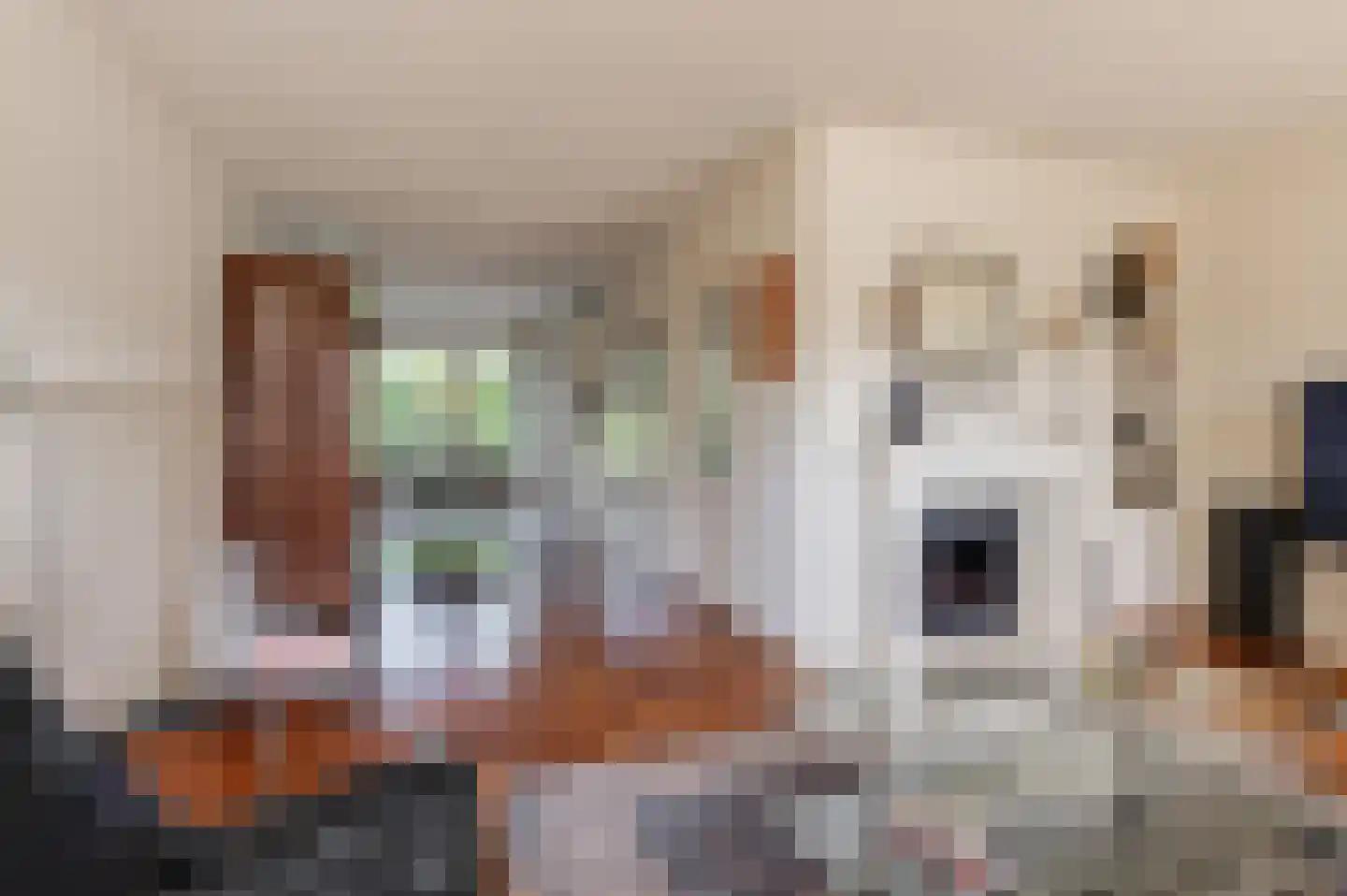 Burgemeester van Everdingenstraat 4 Beusichem thumbnail 4