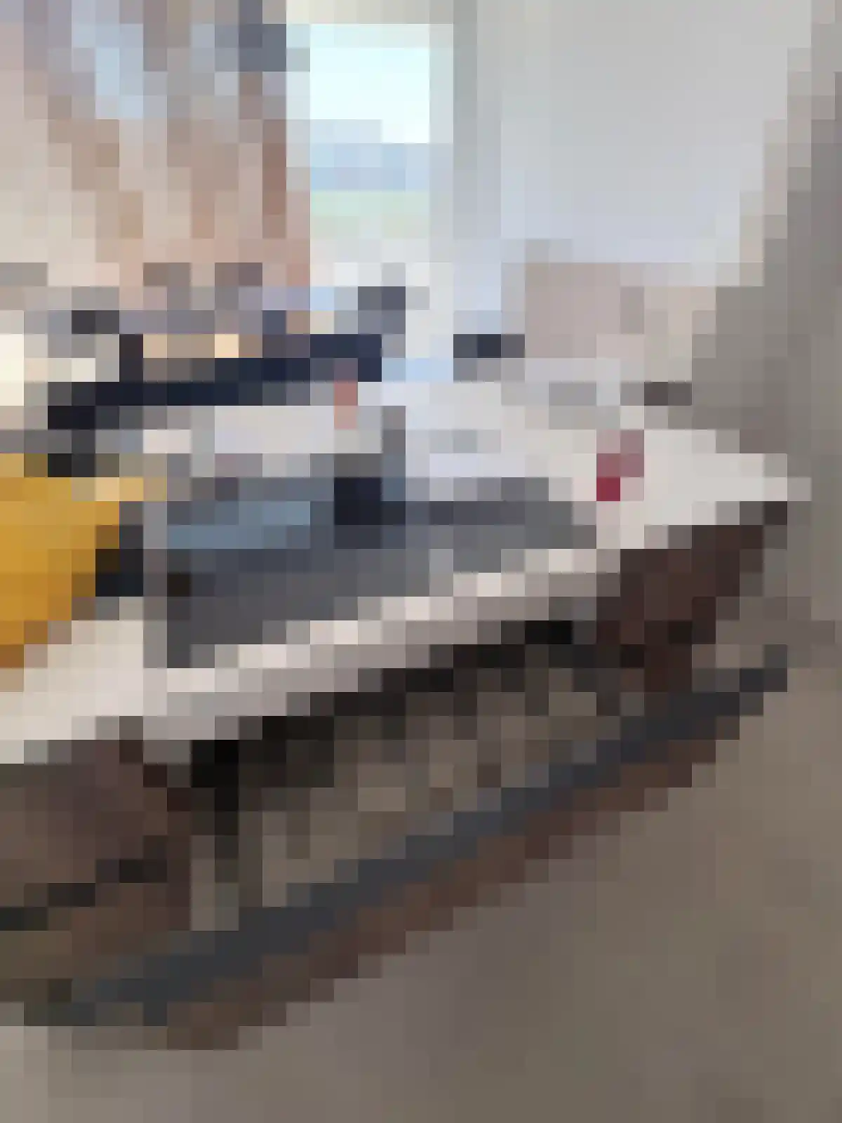 Burgemeester van Fenemaplein 12 Zandvoort thumbnail 6