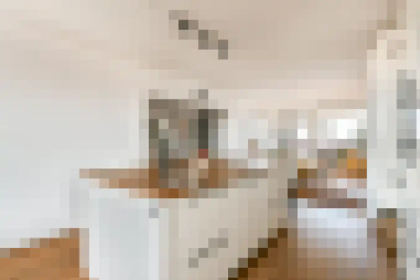 Burgemeester van Fenemaplein 22 F 1 Zandvoort thumbnail 12