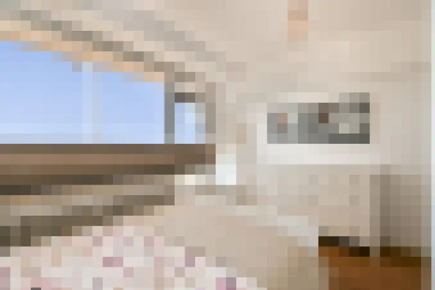 Burgemeester van Fenemaplein 22 F 1 Zandvoort thumbnail 18