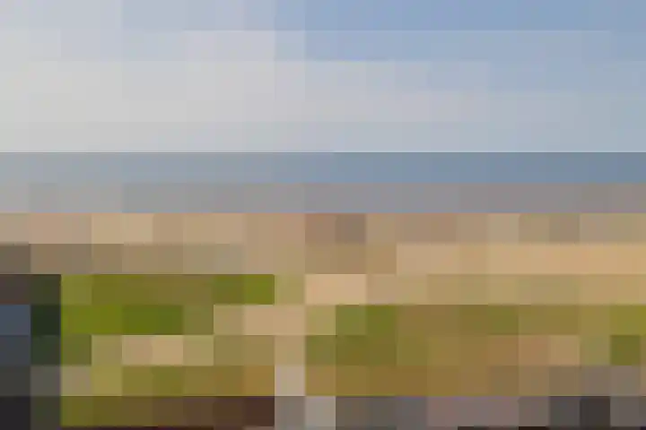 Burgemeester van Fenemaplein 22 F 9 Zandvoort thumbnail 41