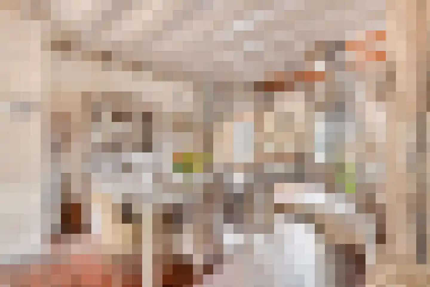 Burgemeester van Gilsestraat 1 Baarle-Nassau thumbnail 19