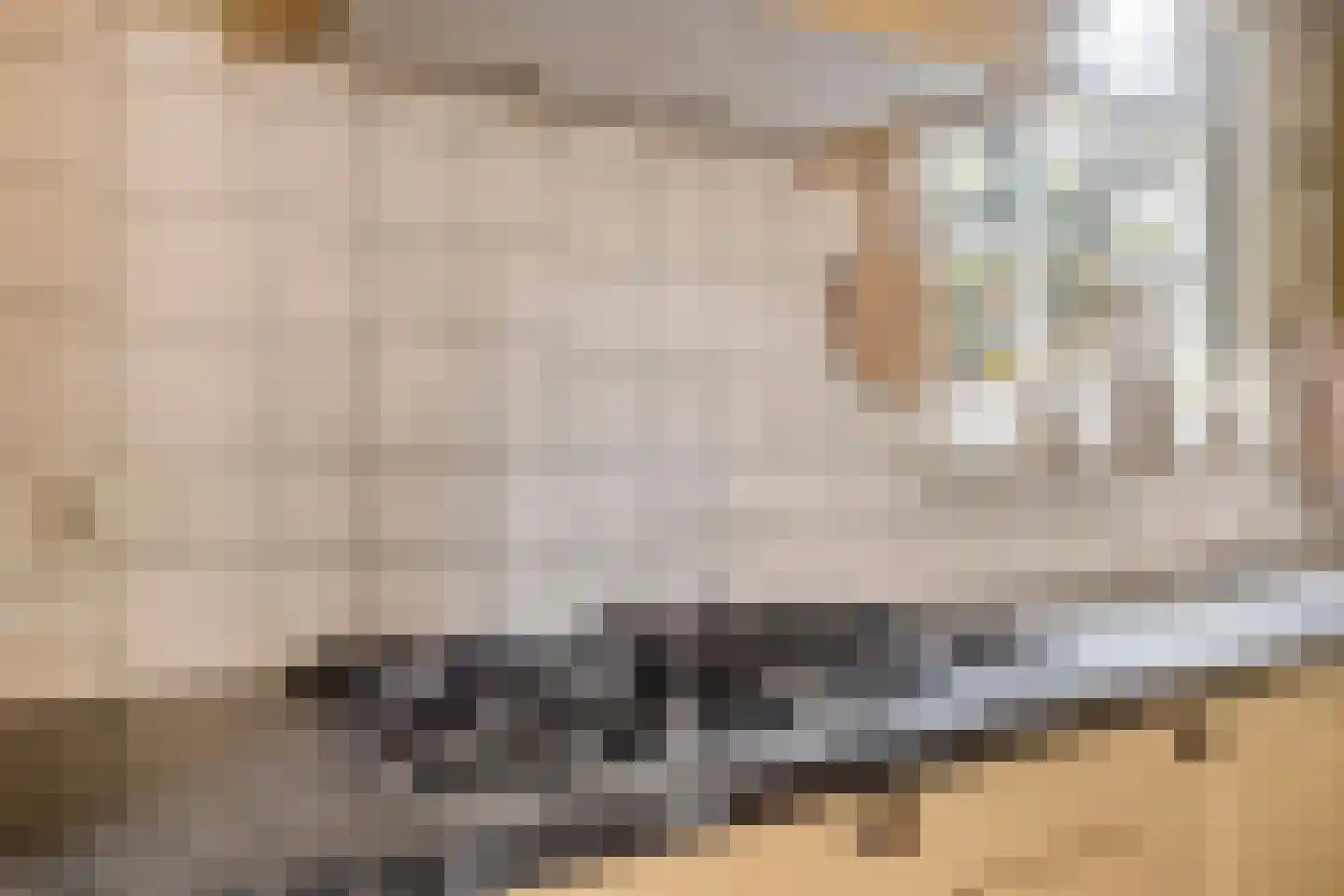 Burgemeester van Gilsestraat 1 Baarle-Nassau thumbnail 27