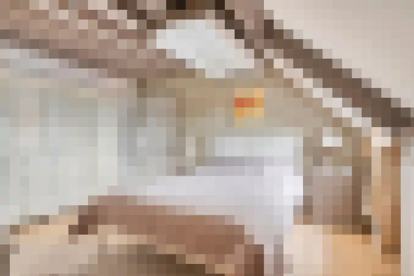 Burgemeester van Gilsestraat 1 Baarle-Nassau thumbnail 34