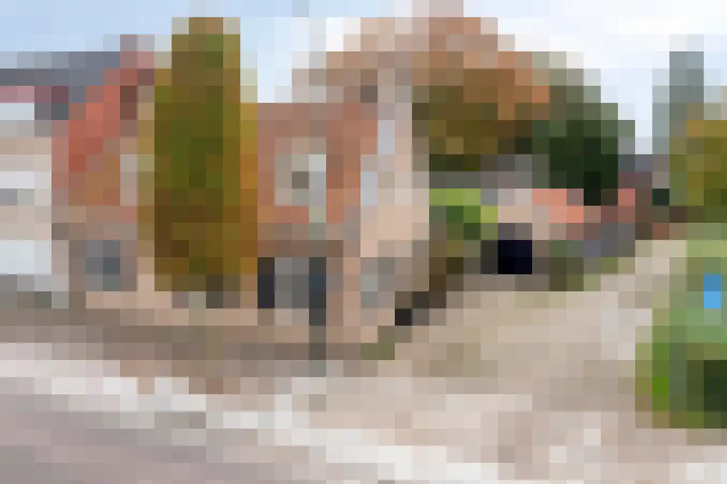 Burgemeester van Gilsestraat 1 Baarle-Nassau thumbnail 7