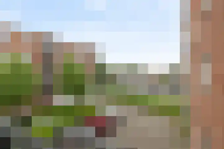 Burgemeester Van Gilsstraat 131 Breda thumbnail 35