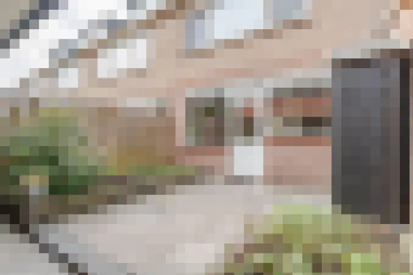 Burgemeester van Gilsstraat 20 Zoeterwoude thumbnail 27