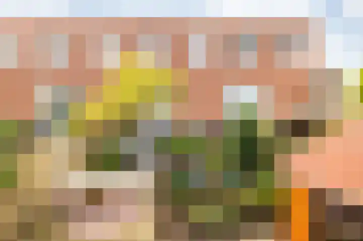 Burgemeester Van Gilsstraat 38 Breda thumbnail 16