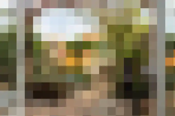 Burgemeester Van Gilsstraat 38 Breda thumbnail 5