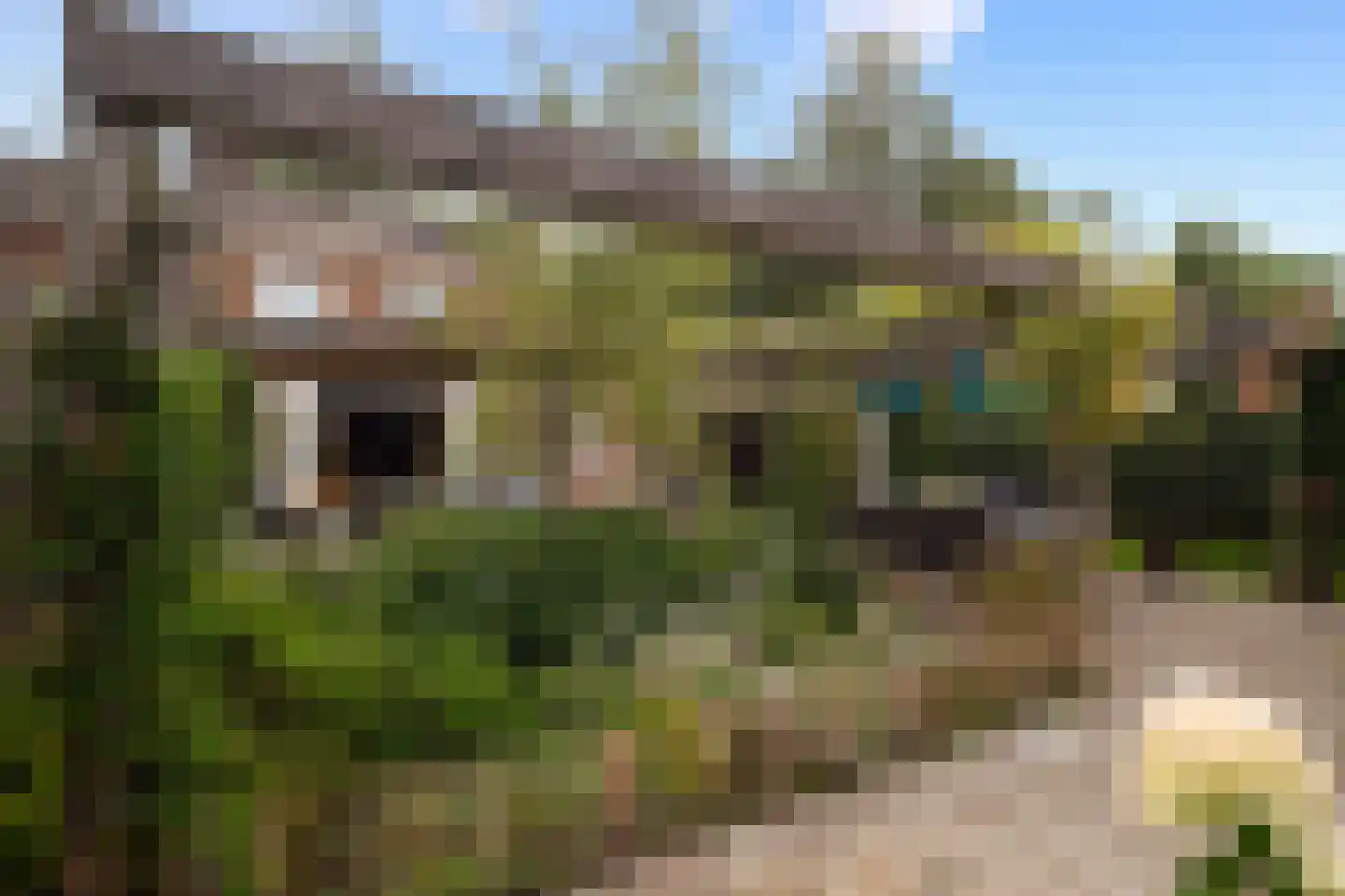 Burgemeester van Grotenhuisstraat 16 Waalwijk thumbnail 29