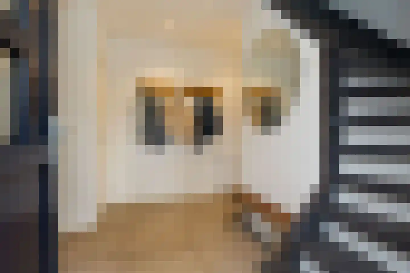 Burgemeester van Grotenhuisstraat 16 Waalwijk thumbnail 6