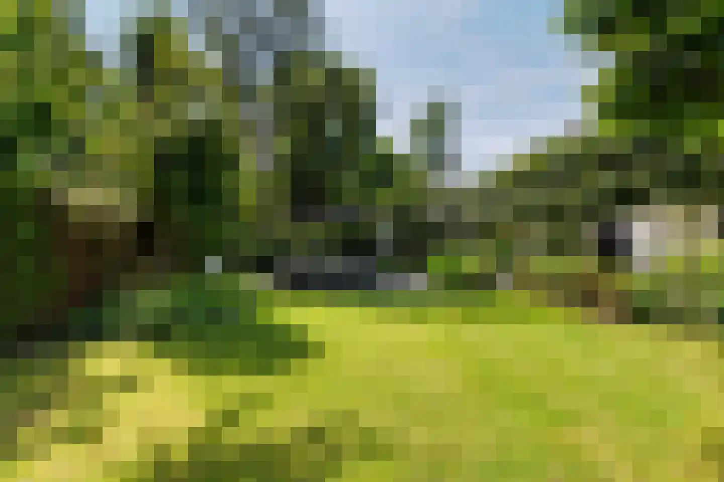 Burgemeester van Grotenhuisstraat 5 Waalwijk thumbnail 4