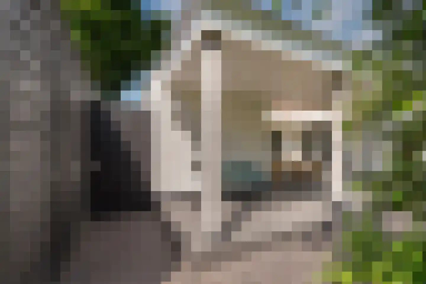 Burgemeester van Grotenhuisstraat 5 Waalwijk thumbnail 56