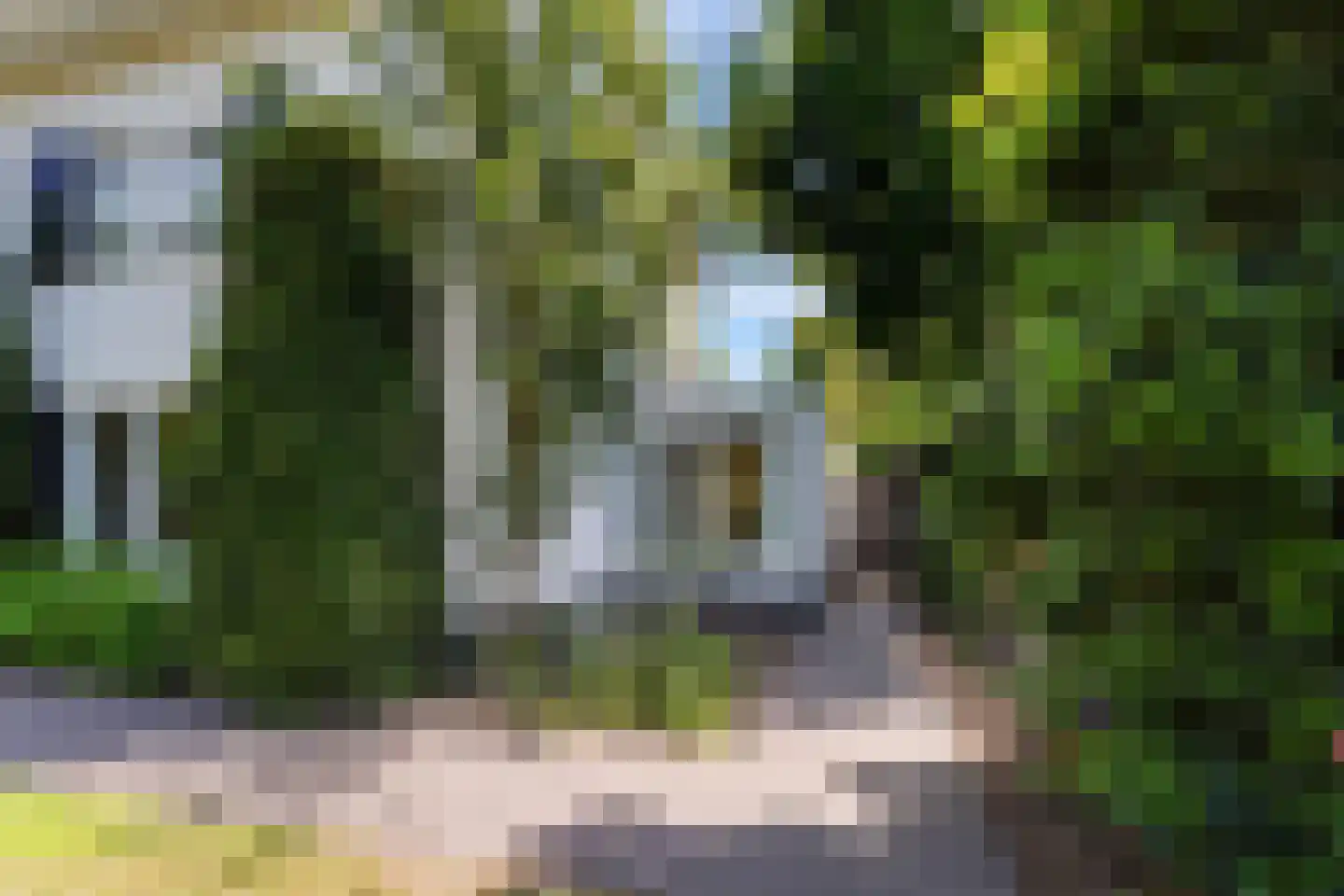 Burgemeester van Grotenhuisstraat 5 Waalwijk thumbnail 64