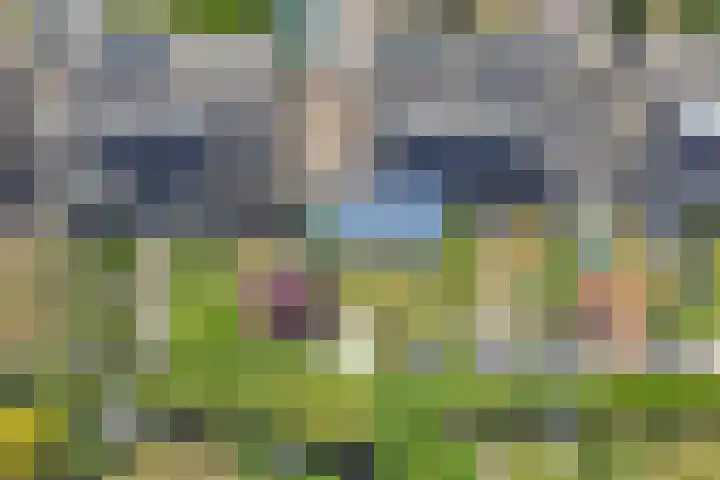 Burgemeester van Grotenhuisstraat 7 Oosterhout thumbnail 37