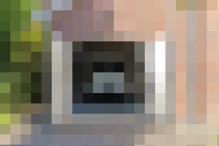 Burgemeester van Grotenhuisstraat 8 Waalwijk thumbnail 5