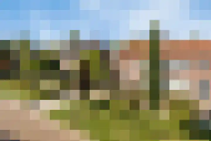 Burgemeester van Grotenhuisstraat 8 Waalwijk thumbnail 6