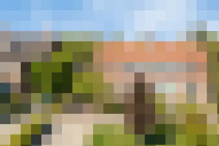 Burgemeester van Grotenhuisstraat 8 Waalwijk thumbnail 8