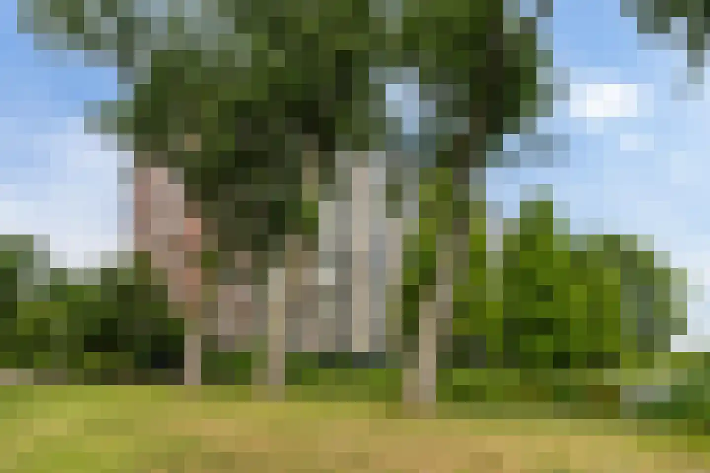 Burgemeester Van Haarenlaan 1292 Schiedam thumbnail 31