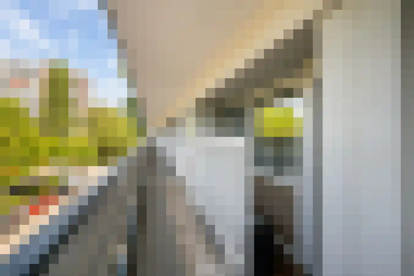 Burgemeester Van Haarenlaan 1292 Schiedam thumbnail 5