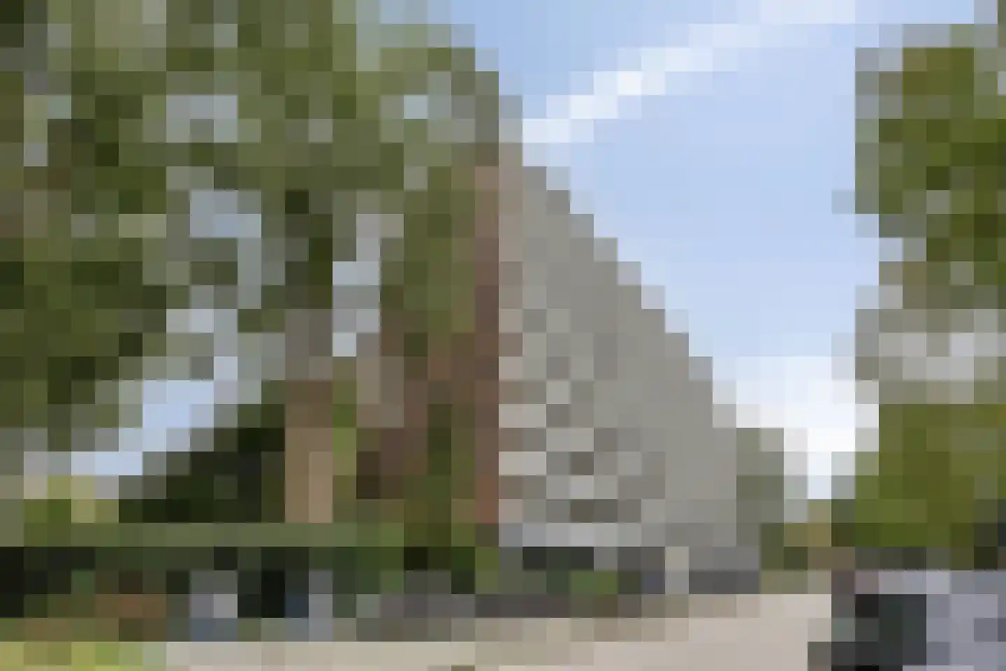 Burgemeester Van Haarenlaan 1318 Schiedam thumbnail 5
